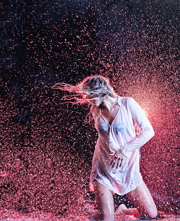 251c8e3723918.5601bcd289503